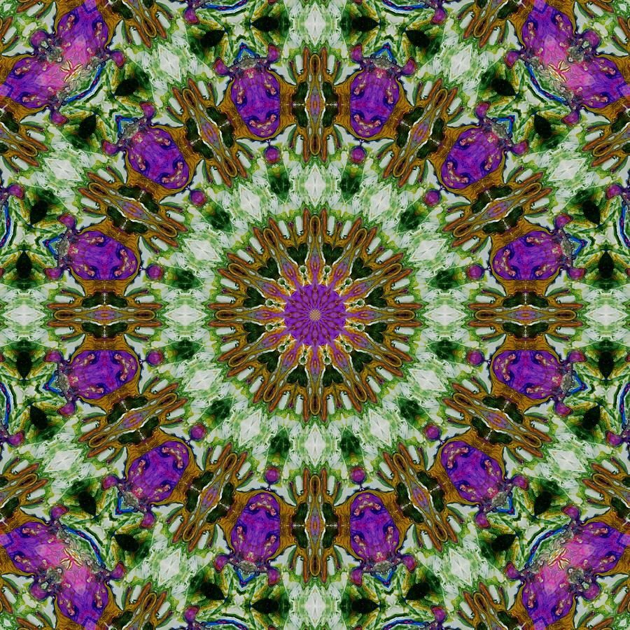 Kaleidoscope 6 Digital Art by Lori Kingston