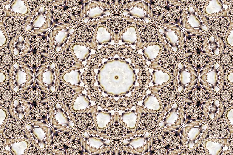 Kaleidoscope 93 Digital Art by Ronald Bissett