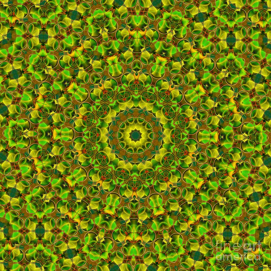 Kaleidoscope 97 Digital Art by Ron Bissett