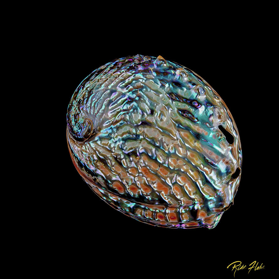 Kaleidoscope Abalone Photograph by Rikk Flohr