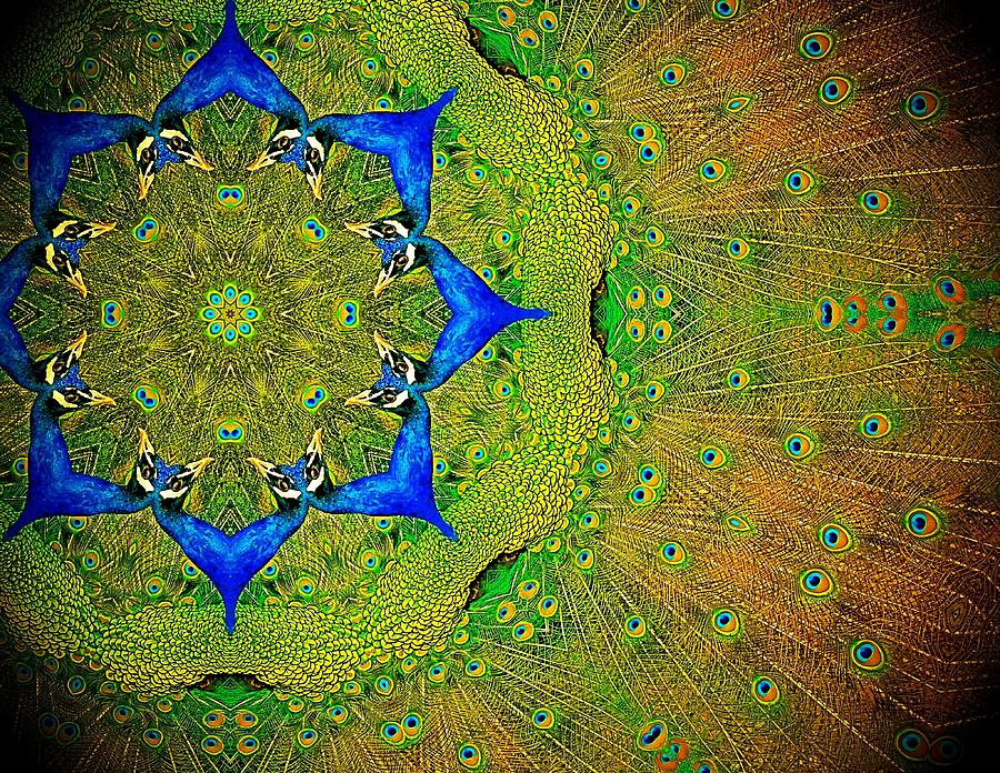 Kaleidoscope Photograph by Amanda Smith