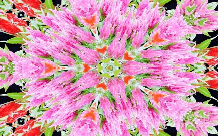 Kaleidoscope Beauty Digital Art by D Hackett