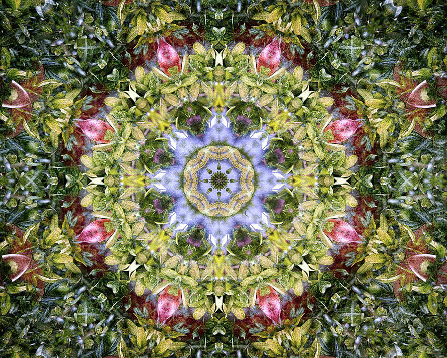  Kaleidoscope  Circle Grunge Digital Art by Roy Pedersen
