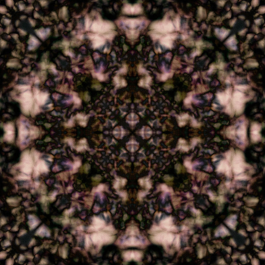 Kaleidoscope circle Digital Art by Steve Ball
