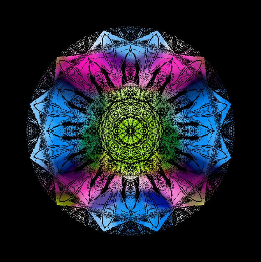 Kaleidoscope - colorful by Deleas Kilgore Kaleidoscope - colorful by Deleas Kilgore
