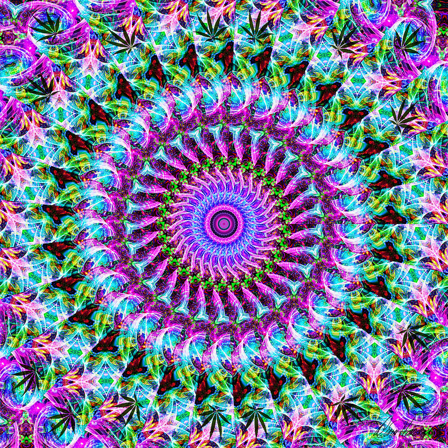 Kaleidoscope Digital Art by Diana Haronis