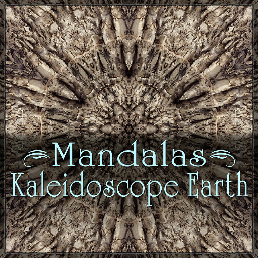 Kaleidoscope Earth Mandalas Digital Art by Becky Titus