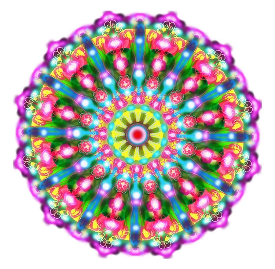 Kaleidoscope Flower Digital Art by Artzmakerz