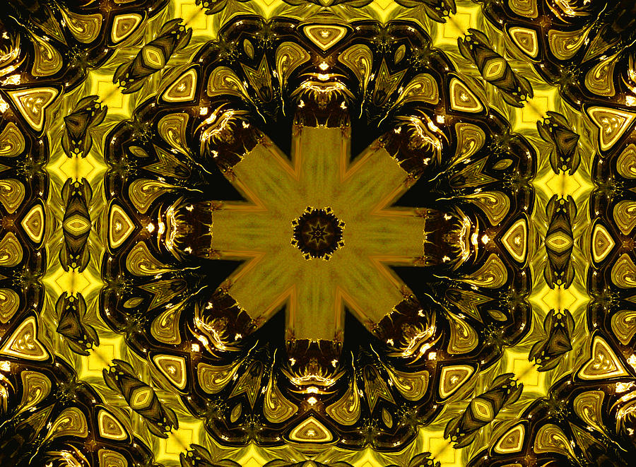 Kaleidoscope in Gold One Photograph by Morgan Carter