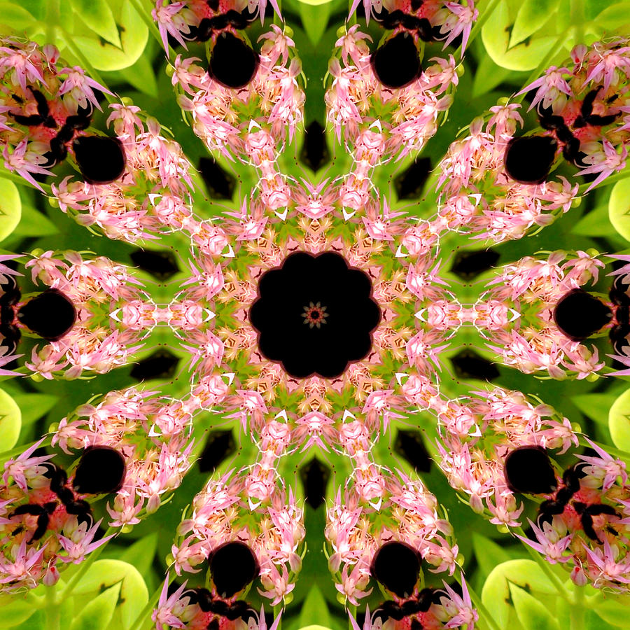 Kaleidoscope in Multi Color Fourteen Photograph by Morgan Carter