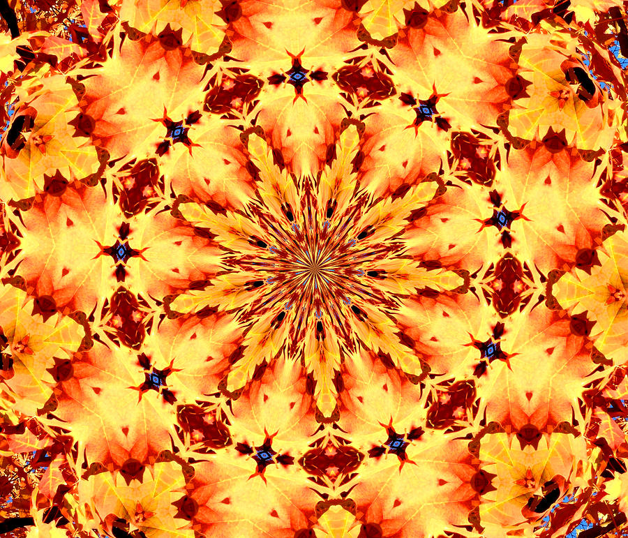 Kaleidoscope in Multi Color Nine Photograph by Morgan Carter
