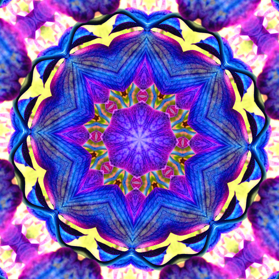 Kaleidoscope in Multi Color One Photograph by Morgan Carter