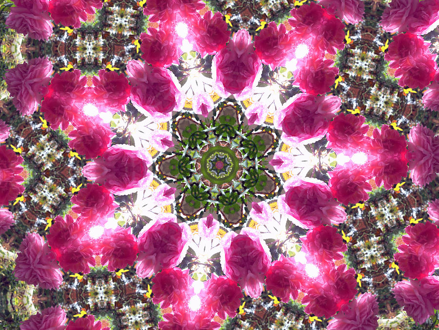 Kaleidoscope in Multi Color Seventeen Photograph by Morgan Carter