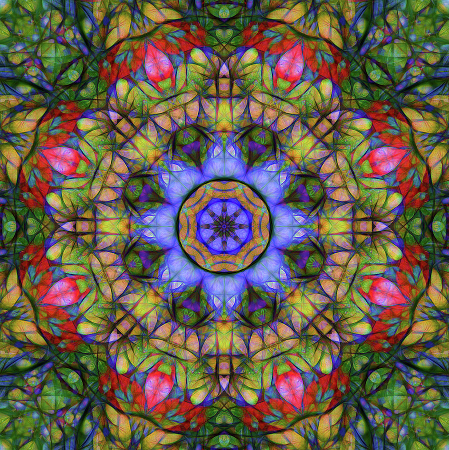 Kaleidoscope Pattern Circle Digital Art by Roy Pedersen