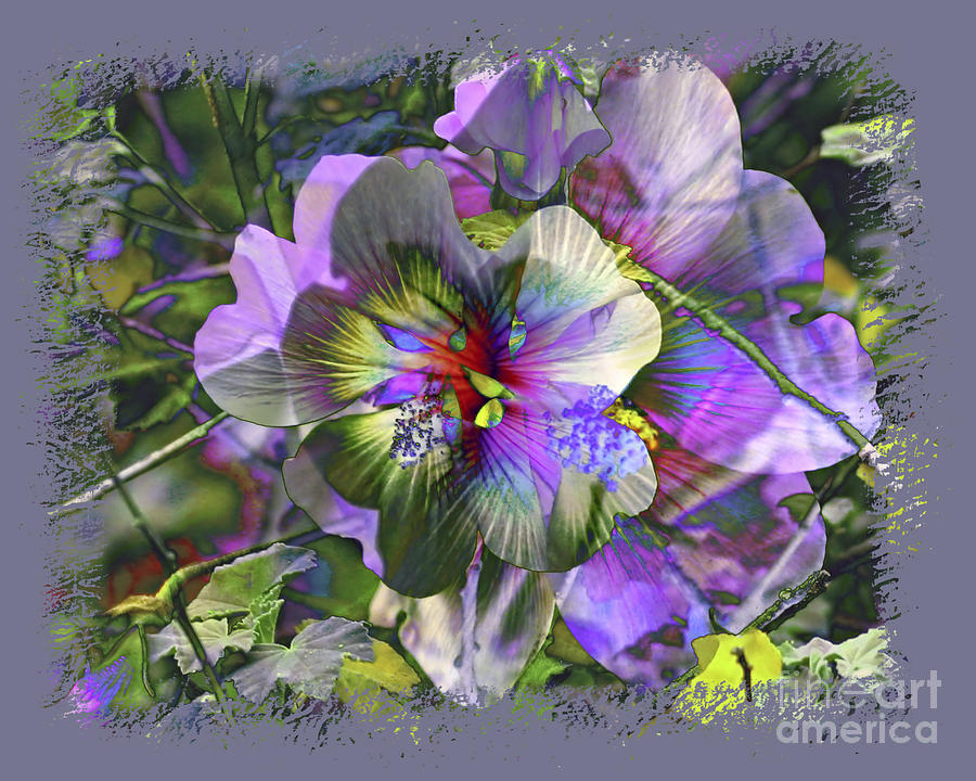 Flower Photograph - Kaleidoscope Pollen by Chuck Brittenham Flower Photograph - Kaleidoscope Pollen by Chuck Brittenham