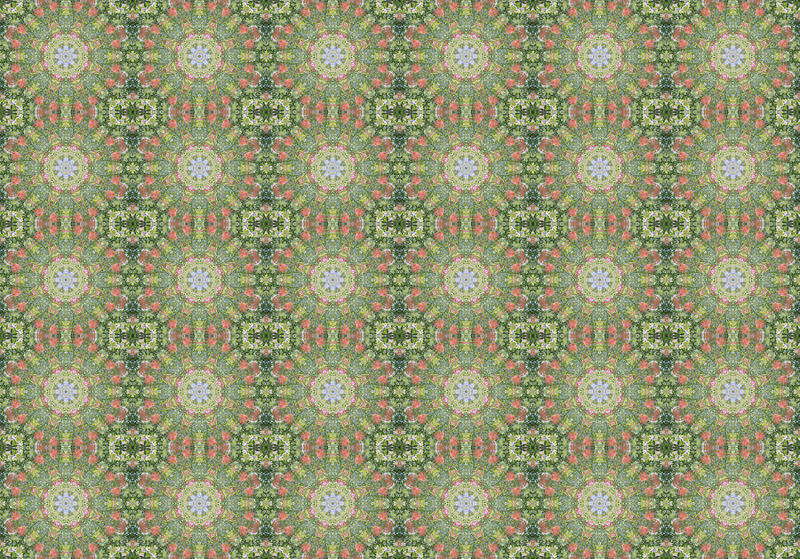 Kaleidoscope Wallpaper Digital Art by Roy Pedersen