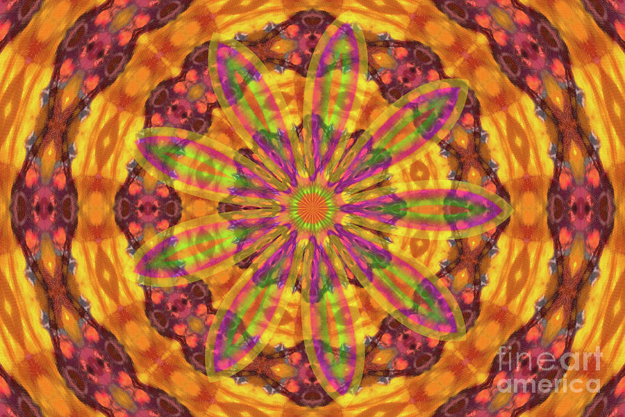 Kaleidoscope with Flower Digital Art by Donna L Munro