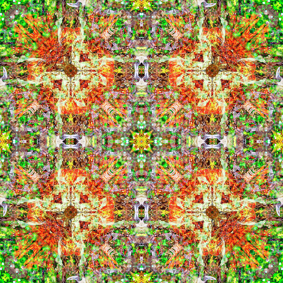 Forest Floor Digital Art by Frans Blok