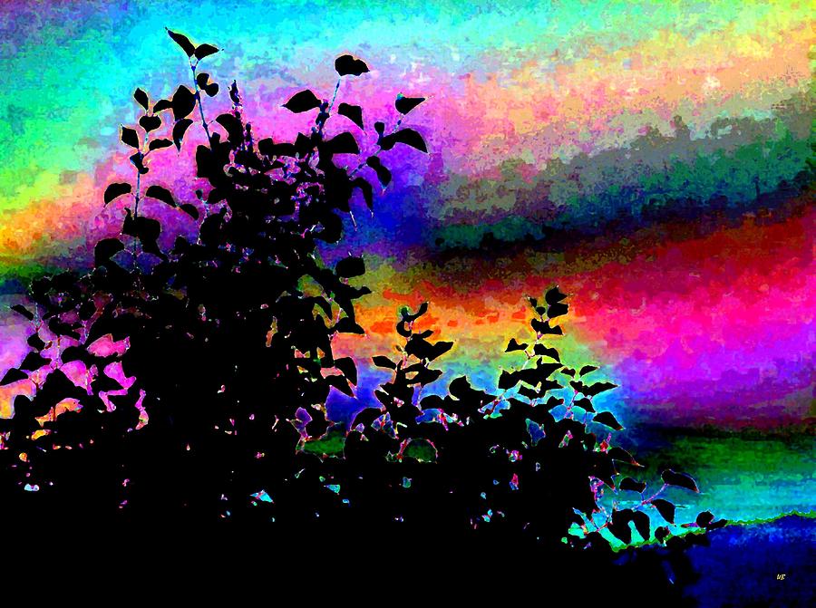 Kaleidoscopic Sky Digital Art by Will Borden