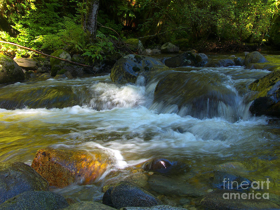 Kanaka Creek Photograph by Sharon Talson