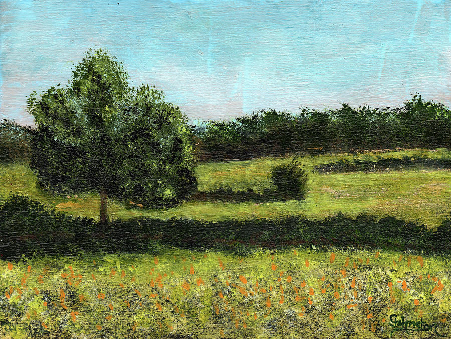 Kanaka Meadow Painting by Cindy Johnston