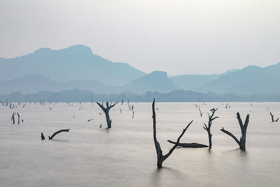 Kandalama Lake - Sri Lanka Photograph by Joana Kruse