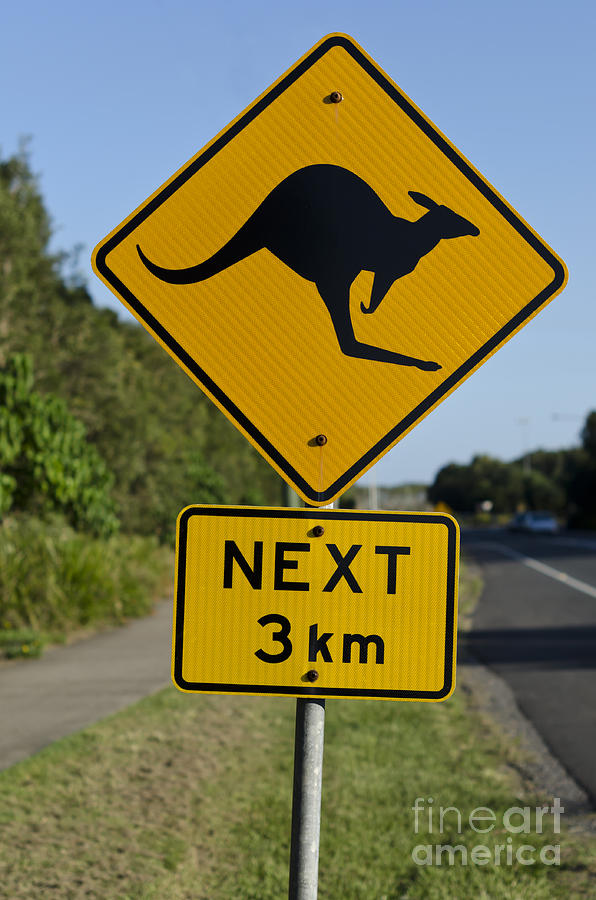 Kangaroo road sign Photograph by Istvan Fekete | Fine Art America