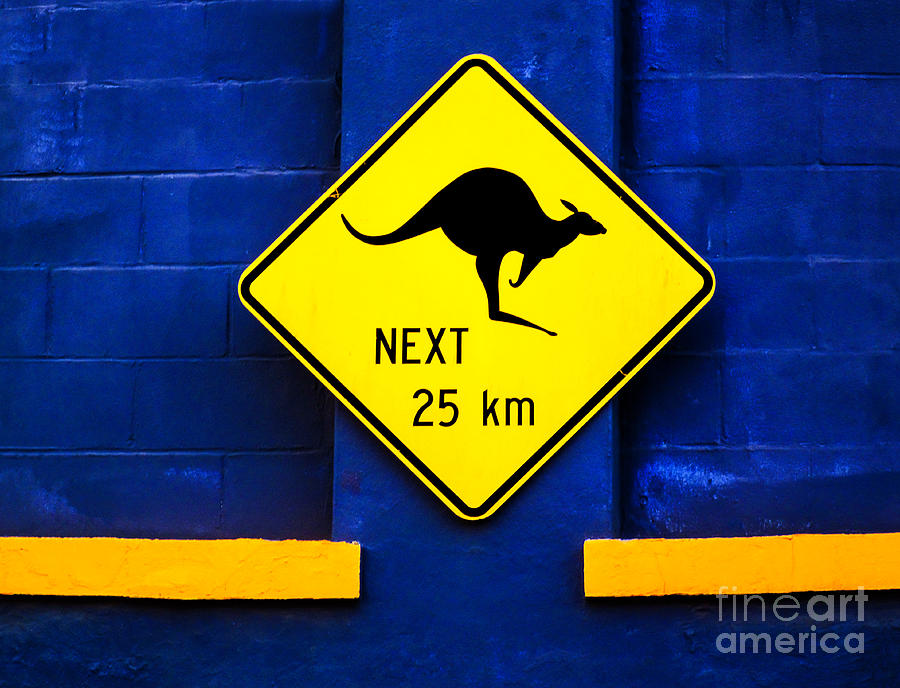 Kangaroos Next 25 Kilometers Photograph by Frances Ann Hattier
