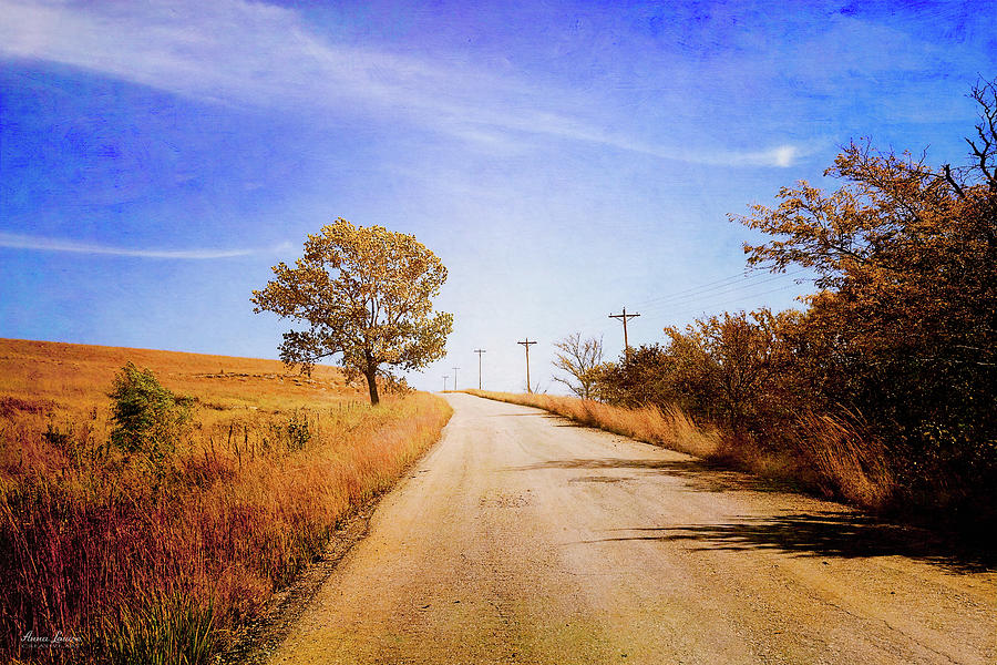 Kansas Autumn Rural Road Photograph by Anna Louise