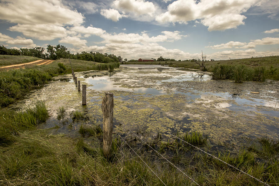 Kansas Beauty Photograph by Chris Harris - Fine Art America