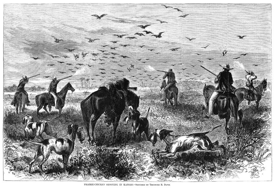 Kansas: Bird Hunting, 1867 Photograph by Granger