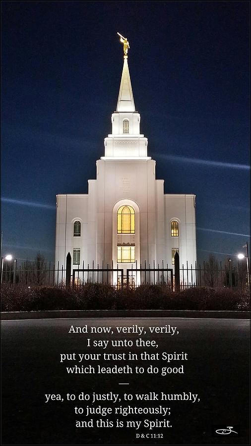 Kansas City LDS temple D and C Photograph by David Zinkand | Fine Art ...