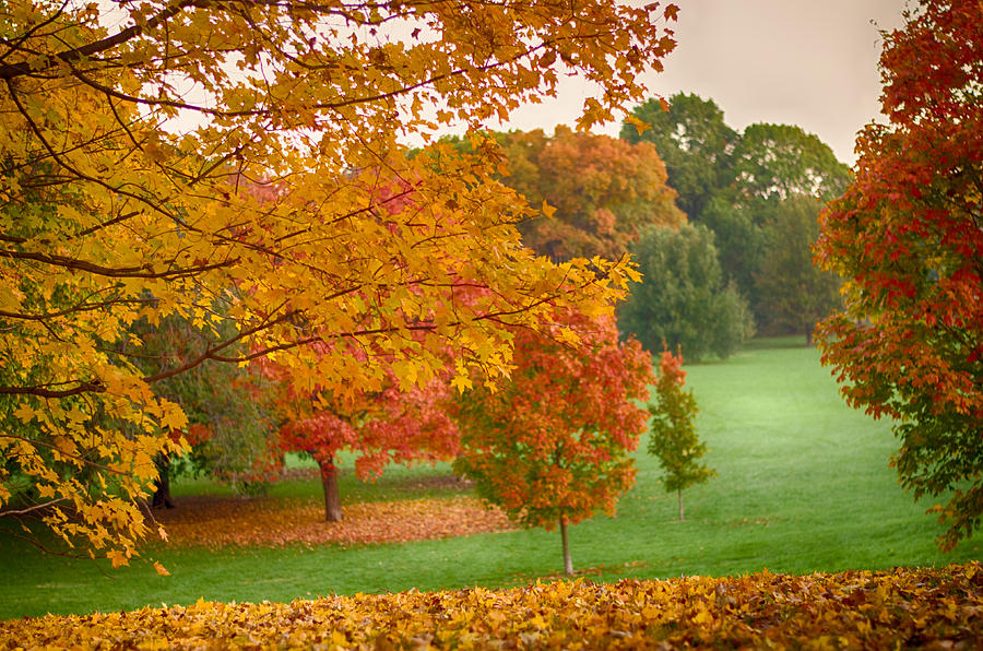 Kansas City Loose Park Fall #43 Photograph by John Diebolt - Fine Art ...