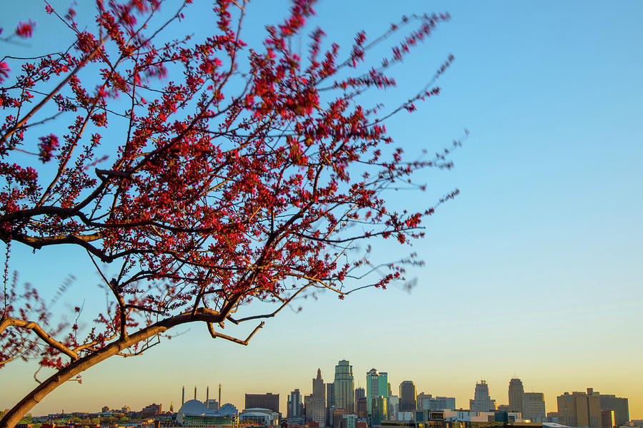 Architecture Photograph - Kansas City Skyline in Spring by Gregory Ballos
