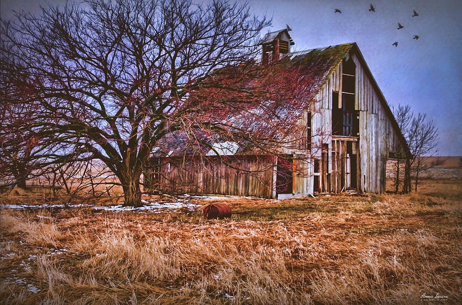 Kansas Countryside Old Barn Photograph by Anna Louise