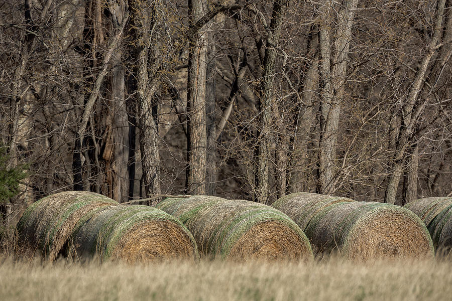 Kansas Fields Photograph by Ryan Heffron