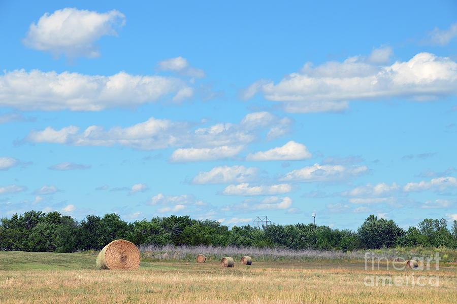 Kansas Hay Bales Photograph by Catherine Sherman