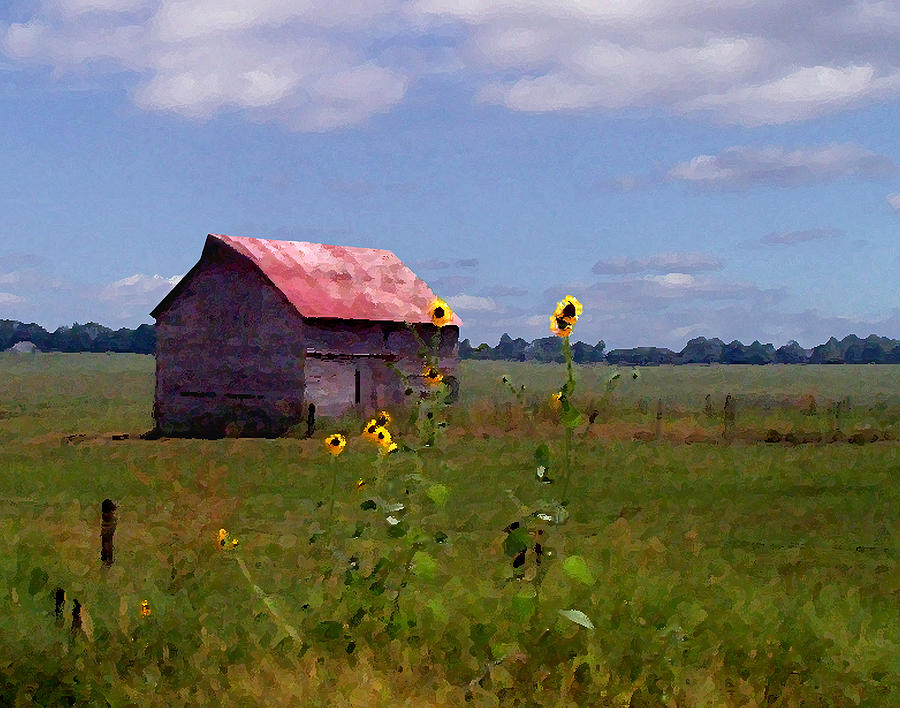 Kansas Landscape Photograph