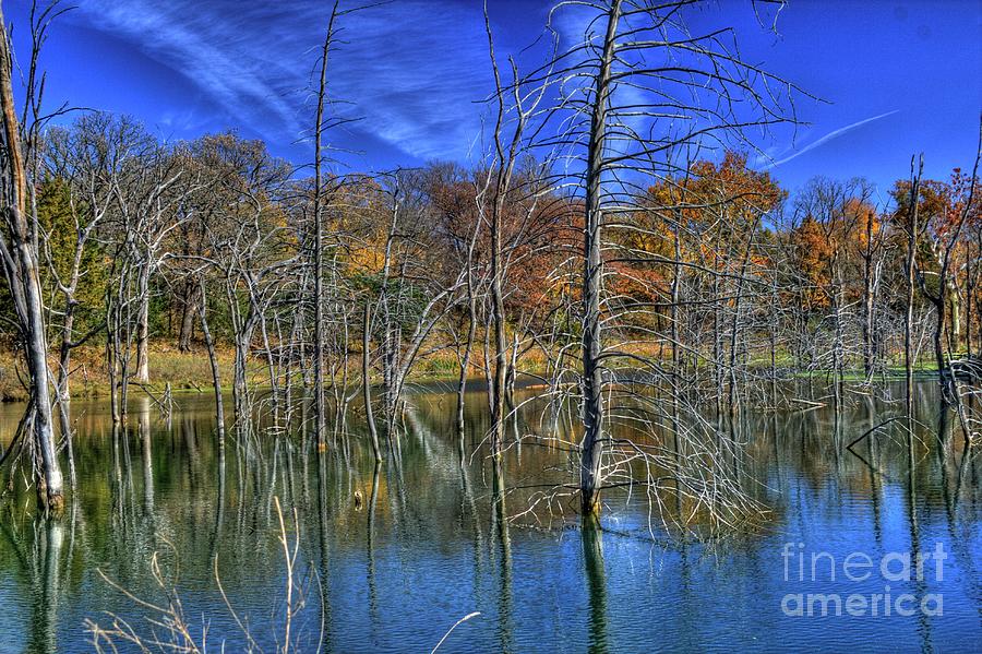 Kansas Marsh Photograph by Tony Baca