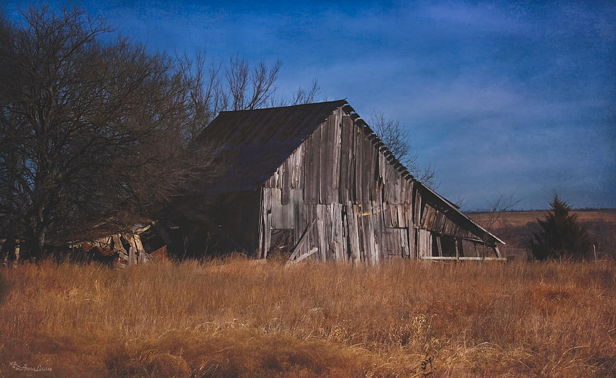 Kansas Prairie Barn Photograph by Anna Louise