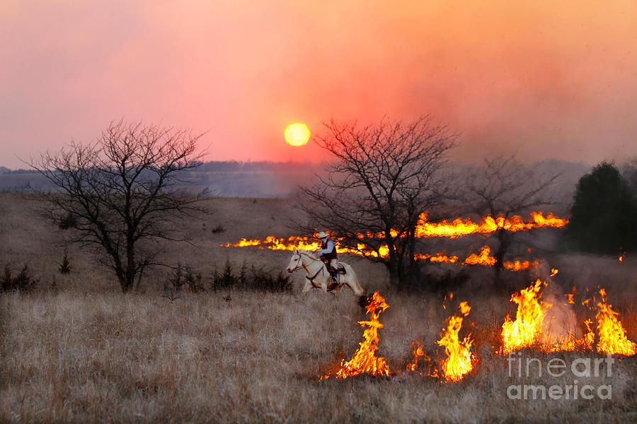 Kansas Rancher Checks Fire Line Photograph by Catherine Sherman