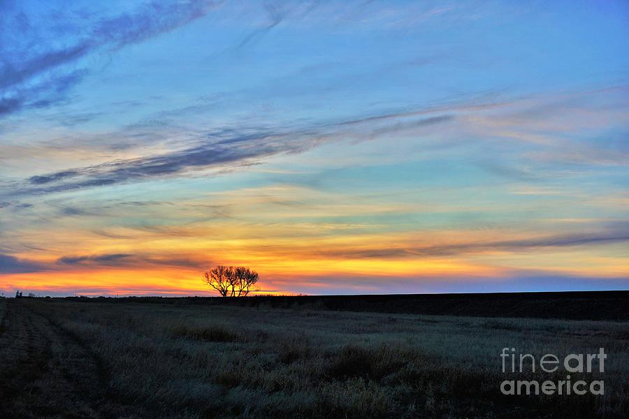 Kansas sunrise1 Photograph by Merle Grenz