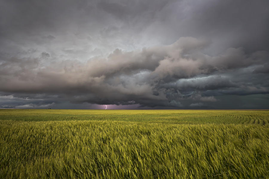Nature Photograph - Thunderstorm Over Wheat Field by Douglas Berry