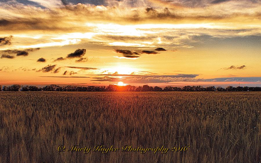 Kansas Wheat Field Sunset Digital Art By Marty Kugler
