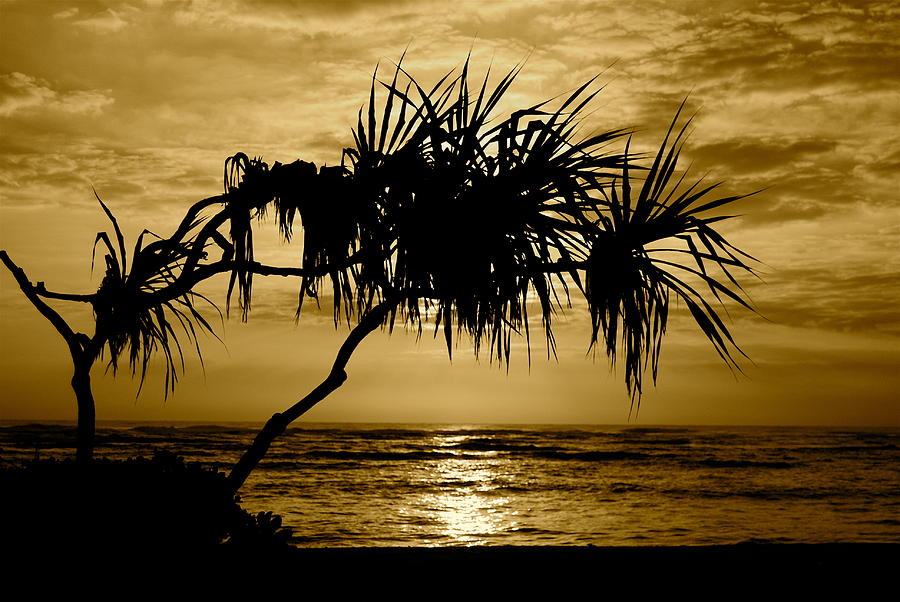 Kapaa Sunrise Photograph by Michael Peychich