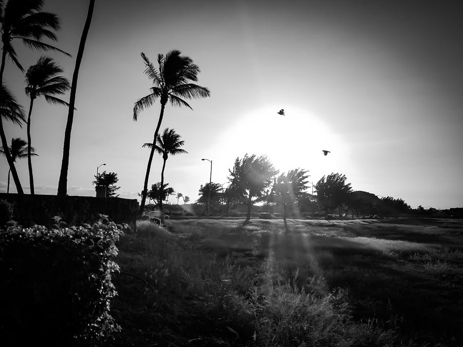 Kapolei Sunrise Photograph by Jerry Alambatin Fine Art America