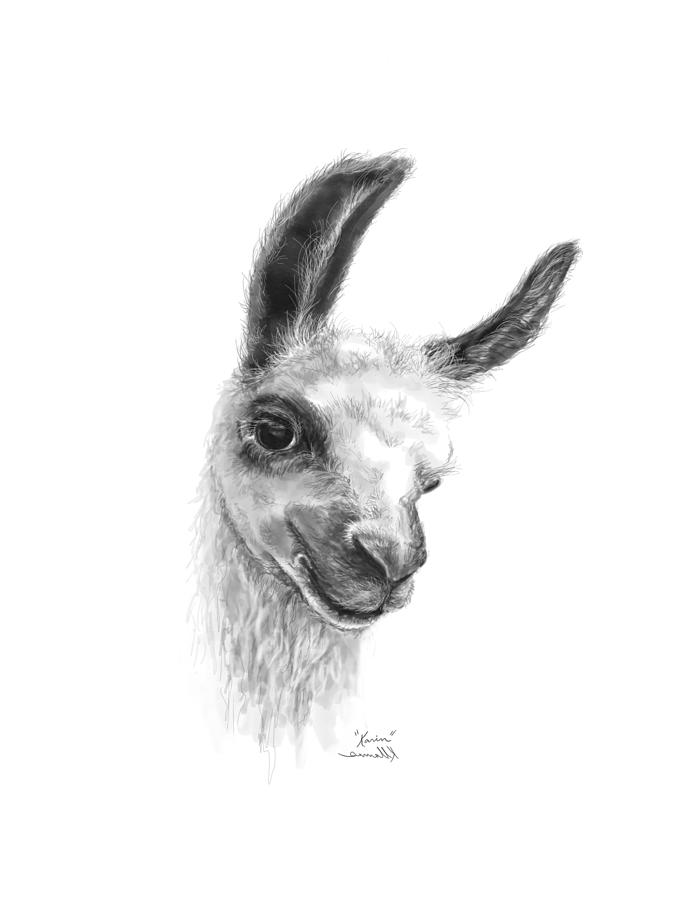 Llama Drawing - Karin by Kristin Llamas