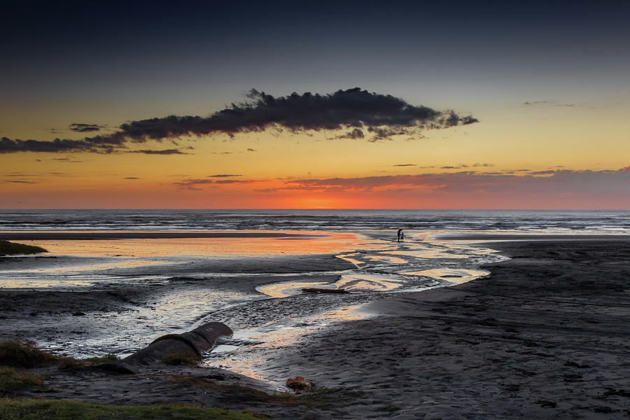 Karioitahi beach Photograph by Mark Hazell | Fine Art America