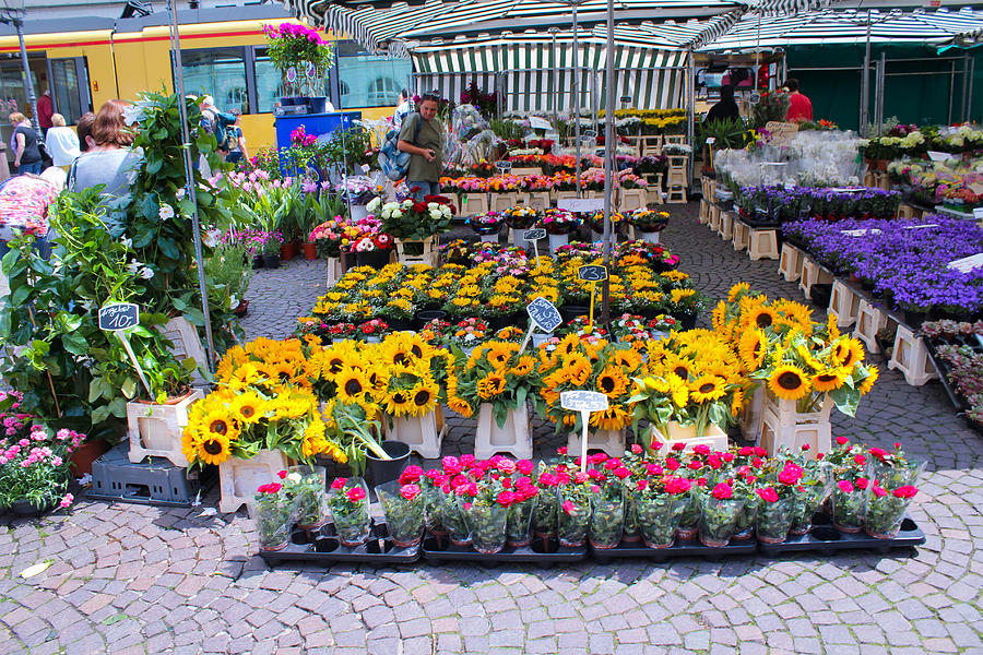 action markt karlsruhe