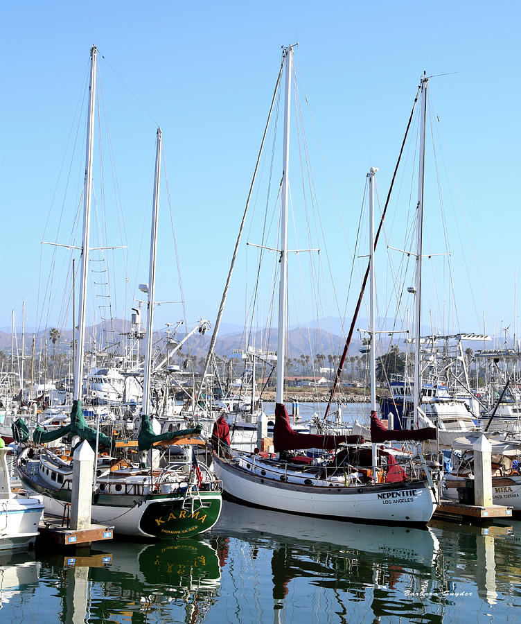 Karma and Nepenthe Ventura Harbor Village Photograph by Barbara Snyder